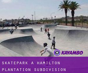 Skatepark a Hamilton Plantation Subdivision