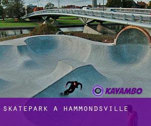 Skatepark a Hammondsville