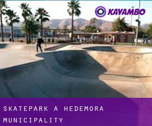 Skatepark a Hedemora Municipality