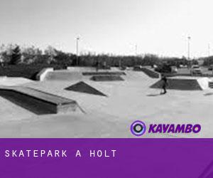 Skatepark a Holt