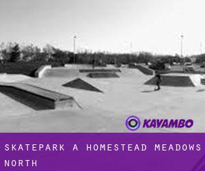 Skatepark a Homestead Meadows North