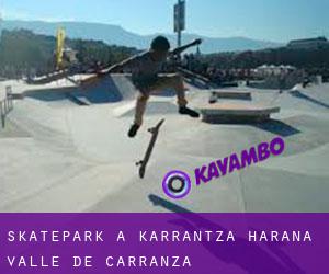 Skatepark a Karrantza Harana / Valle de Carranza