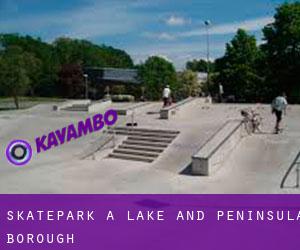 Skatepark a Lake and Peninsula Borough