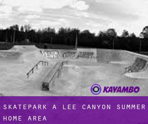 Skatepark a Lee Canyon Summer Home Area