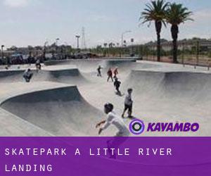 Skatepark a Little River Landing