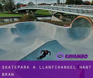 Skatepark a Llanfihangel-Nant-Brân