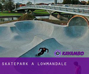 Skatepark a Lowmandale