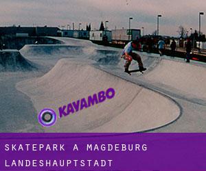 Skatepark a Magdeburg Landeshauptstadt