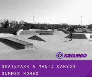 Skatepark a Manti Canyon Summer Homes