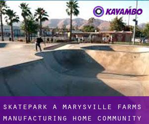 Skatepark a Marysville Farms Manufacturing Home Community