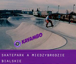 Skatepark a Międzybrodzie Bialskie