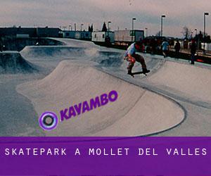 Skatepark a Mollet del Vallès