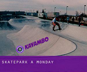 Skatepark a Monday