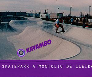 Skatepark a Montoliu de Lleida