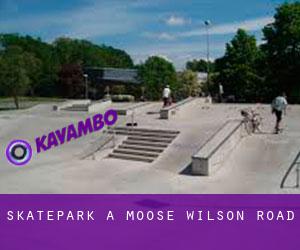 Skatepark a Moose Wilson Road