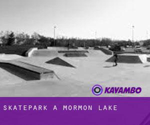 Skatepark a Mormon Lake