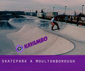 Skatepark a Moultonborough