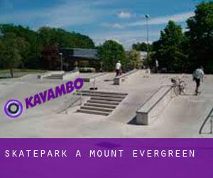 Skatepark a Mount Evergreen