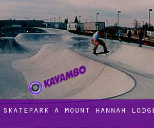 Skatepark a Mount Hannah Lodge