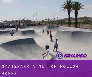 Skatepark a Mutton Hollow Acres