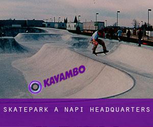 Skatepark a Napi Headquarters