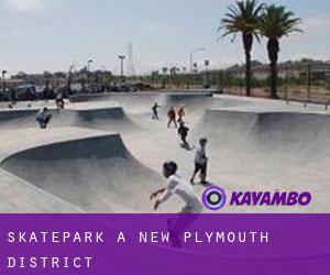 Skatepark a New Plymouth District
