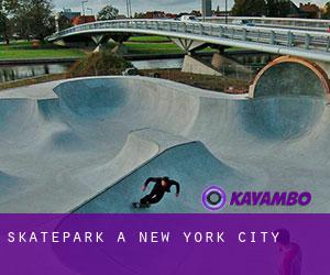 Skatepark a New York City Skatepark a New York City