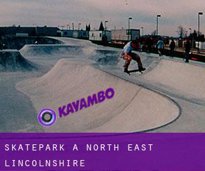Skatepark a North East Lincolnshire