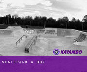 Skatepark a Łódź