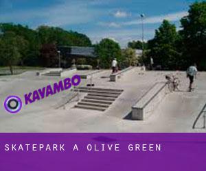 Skatepark a Olive Green