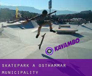 Skatepark a Östhammar Municipality