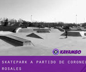 Skatepark a Partido de Coronel Rosales