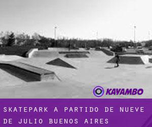 Skatepark a Partido de Nueve de Julio (Buenos Aires)