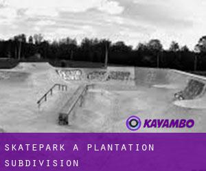 Skatepark a Plantation Subdivision