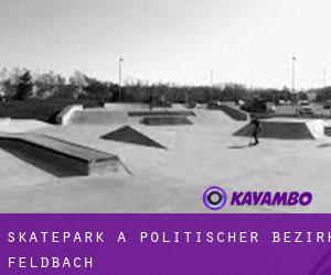 Skatepark a Politischer Bezirk Feldbach