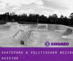 Skatepark a Politischer Bezirk Güssing