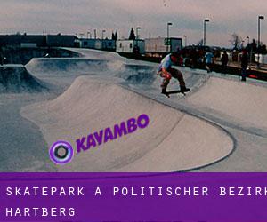 Skatepark a Politischer Bezirk Hartberg