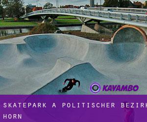 Skatepark a Politischer Bezirk Horn
