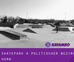 Skatepark a Politischer Bezirk Horn