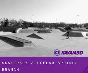 Skatepark a Poplar Springs Branch