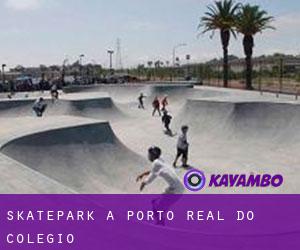 Skatepark a Porto Real do Colégio