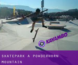 Skatepark a Powderhorn Mountain