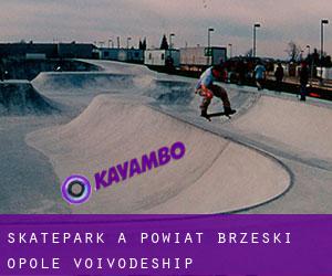 Skatepark a Powiat brzeski (Opole Voivodeship)