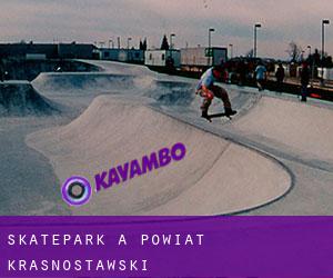 Skatepark a Powiat krasnostawski
