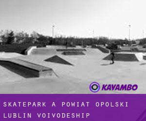 Skatepark a Powiat opolski (Lublin Voivodeship)