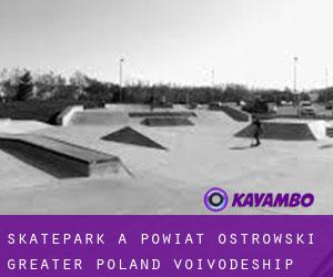 Skatepark a Powiat ostrowski (Greater Poland Voivodeship)