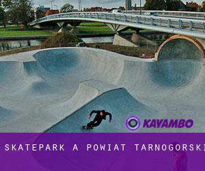 Skatepark a Powiat tarnogórski