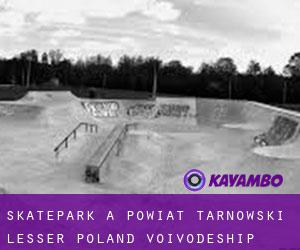 Skatepark a Powiat tarnowski (Lesser Poland Voivodeship)