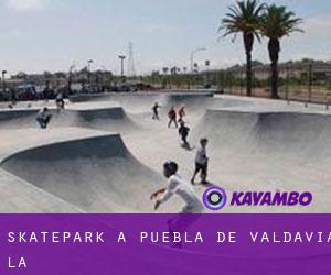 Skatepark a Puebla de Valdavia (La)