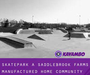 Skatepark a Saddlebrook Farms Manufactured Home Community